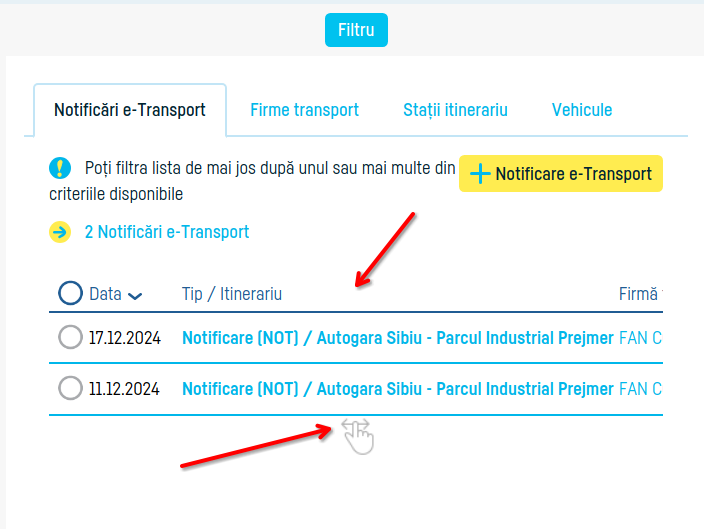 Cum transmiți notificarea e-Transport - pasul 13