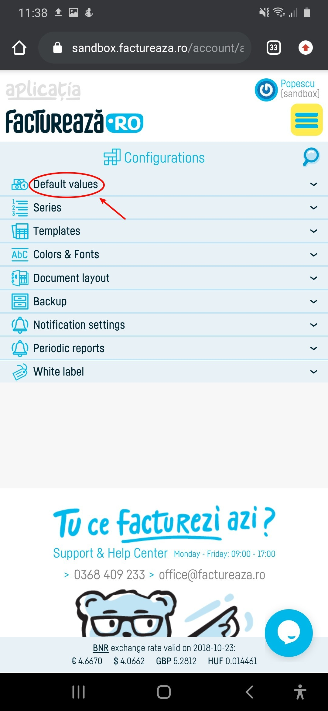 Numeric format of quantity values in documents - pasul 2